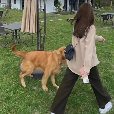 虚像杀场